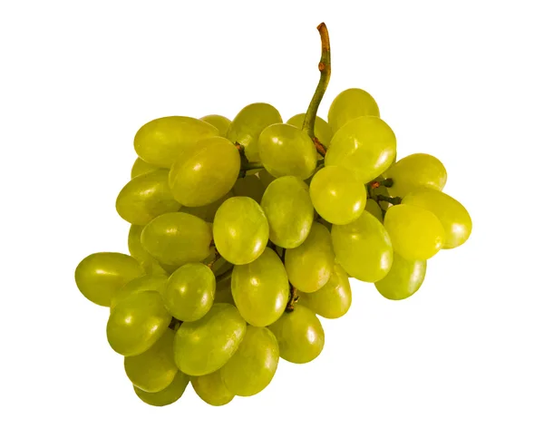 Groene druiven — Stockfoto
