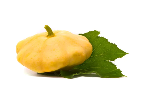Scallop squash and green leaf — Stock Photo, Image