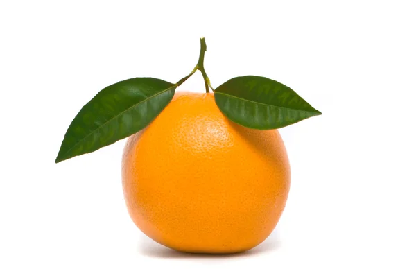 Naranja fresca. Macro estudio blanco . — Foto de Stock