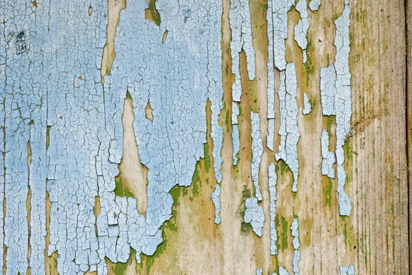 Гранж-дерево — стоковое фото