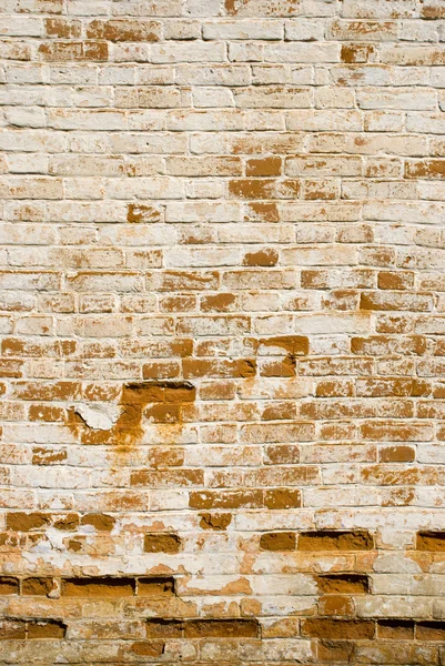 Middelalderlige mursten væg - Stock-foto