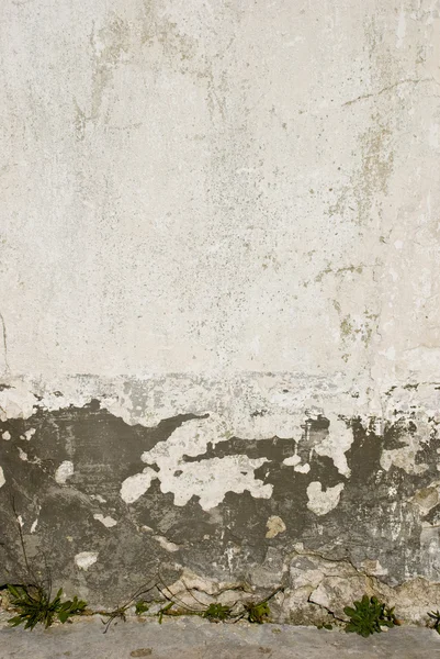 Grunge 复古背景墙 — 图库照片