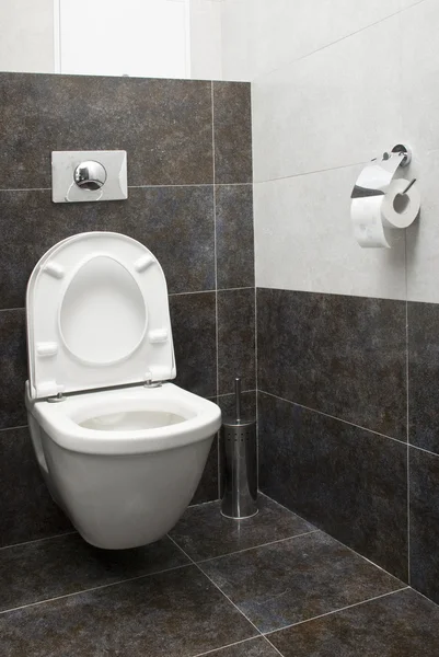 Servizi igienici in casa — Foto Stock