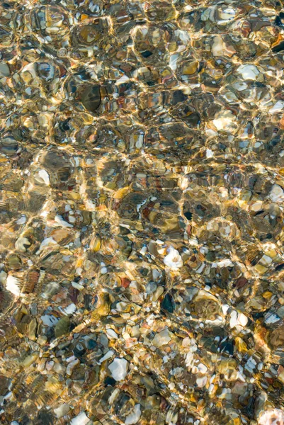 Пляжна галька під чистою водою — стокове фото