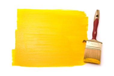 profesyonel fırça ile sarı boya