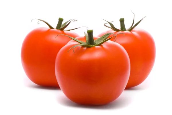 Свіжі помідори .. — стокове фото