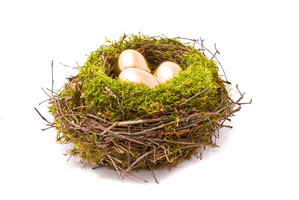 Три золотых яйца в гнезде — стоковое фото