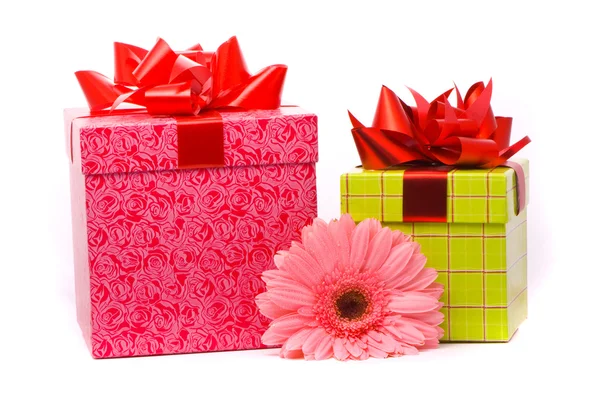 Розовый гербер цветок и подарочные коробки — стоковое фото