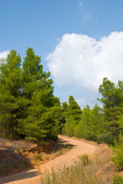 bir yol görünümünü