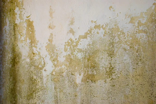 Grunge wall for vintage background — Stock Photo, Image