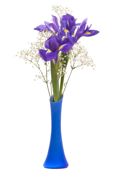 Bouquet di iridi — Foto Stock