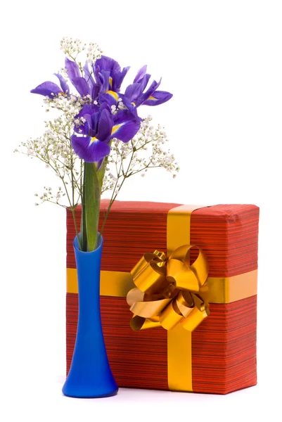 Bukett av en Iris och presentförpackning — Stockfoto