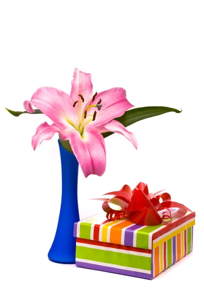 Lys rose et boîte cadeau sur un blanc — Photo
