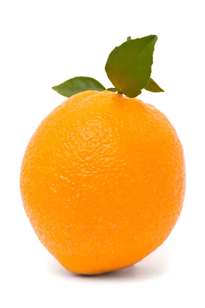 成熟橙色与叶子 — Stock fotografie