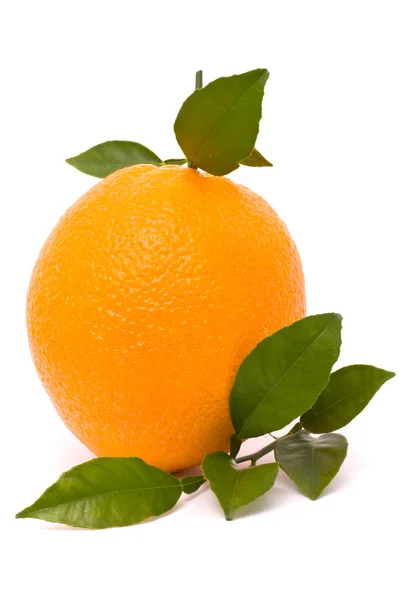 Arancio maturo con foglie — Foto Stock
