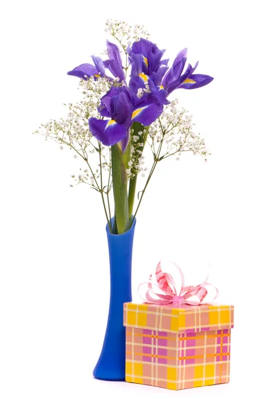 Ramo de iris y caja de regalo — Foto de Stock