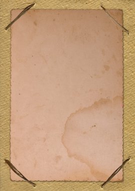 bağbozumu albüm sayfası