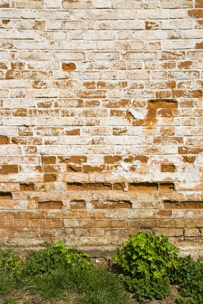 Dinding bata abad pertengahan — Stok Foto
