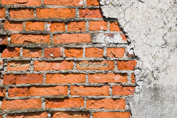Bricks wall background — Stock Photo, Image