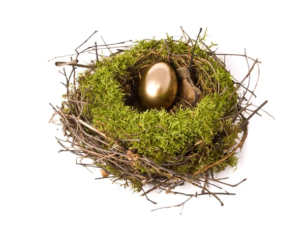 Goldenes Ei im Nest — Stockfoto