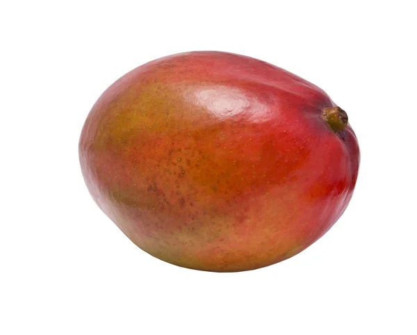 Färsk mangofrukt — Stockfoto