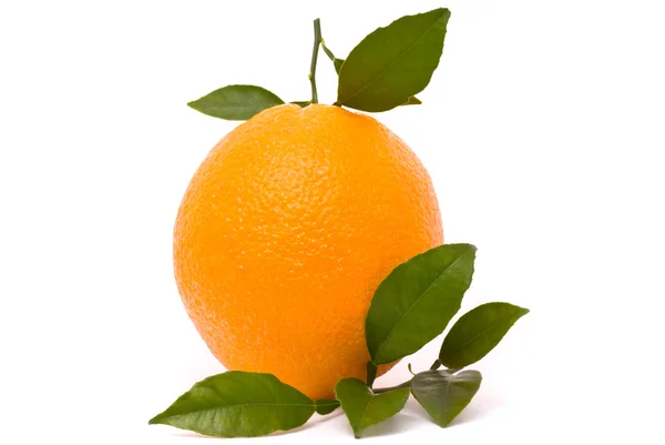 Naranja maduro con hojas — Foto de Stock