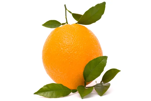 Спелый апельсин с листьями — стоковое фото