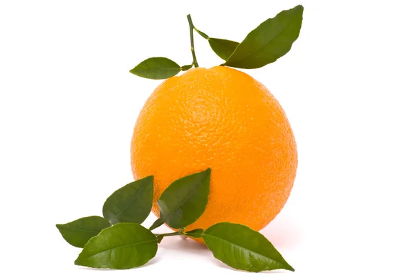 Зрізати апельсин з листям — стокове фото