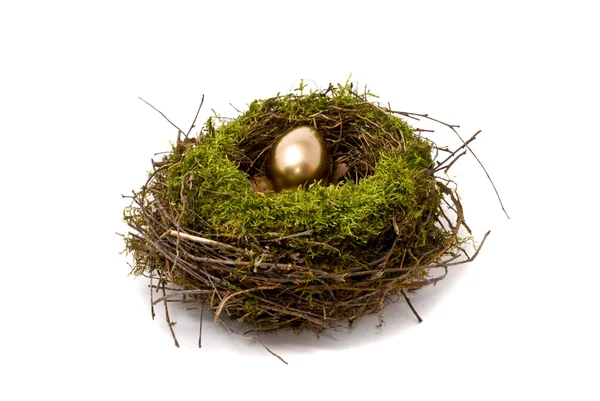 Uovo d'oro in un nido — Foto Stock