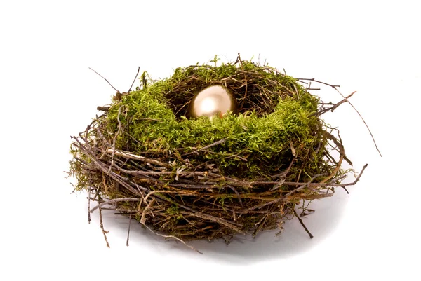 Huevo de oro en un nido — Foto de Stock