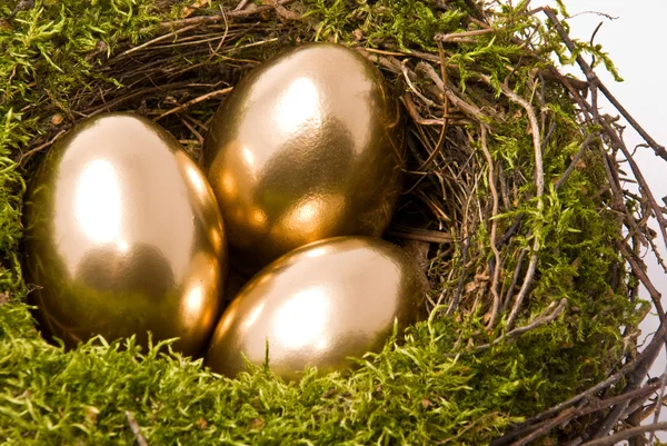 三个鸡蛋上巢 — 图库照片