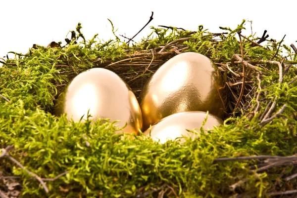 Tre ägg på ett fågelbo — Stockfoto