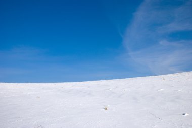 Winter field clipart