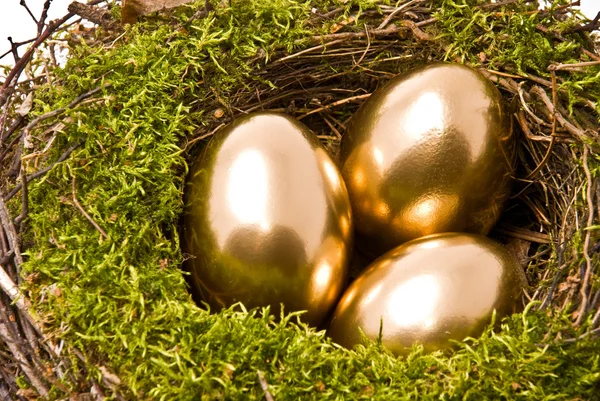 Drie eieren op een nest — Stockfoto