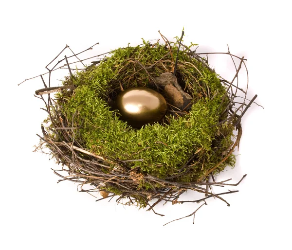 Goldenes Ei in einem echten Nest — Stockfoto
