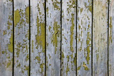 Grunge wood background clipart