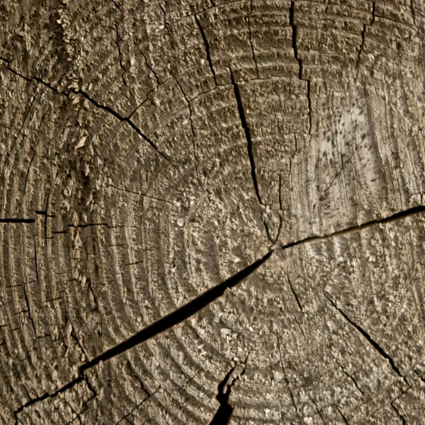 Closeup oude houten gesneden textuur — Stockfoto