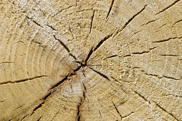 Closeup starých dřevěných řezaných textura — Stock fotografie