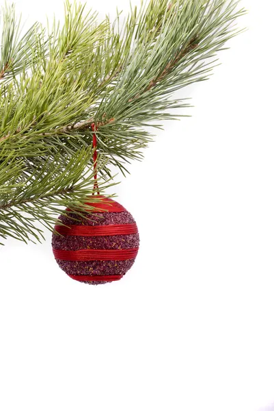 Vánoční červený míček — Stock fotografie