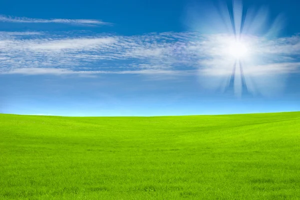 Ciel bleu et champ vert — Photo
