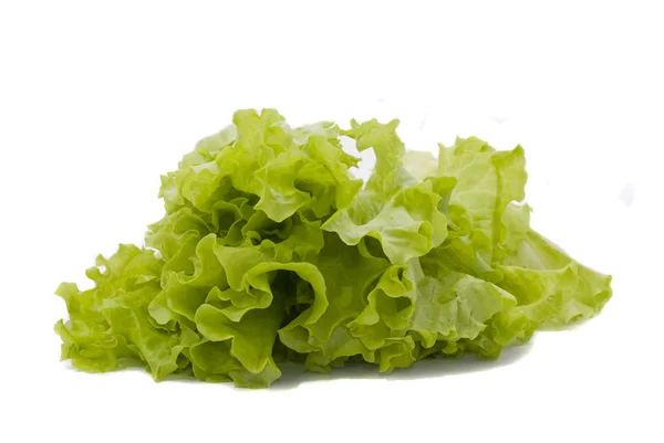 Listy salátů na bílém pozadí — Stock fotografie