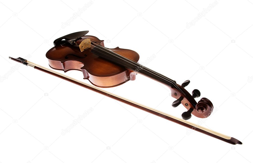 Violin on the white background