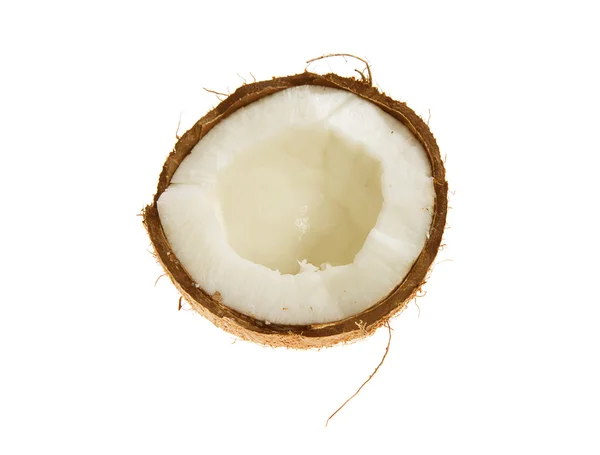 stock image Coconut on white background