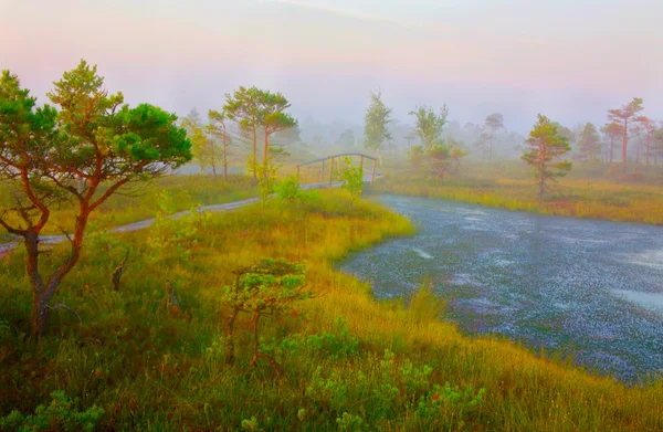 Schilderachtige landschap van natuurpark — Stockfoto