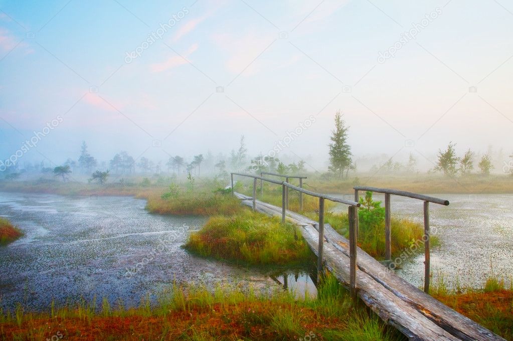 Scenic landscape in early morning