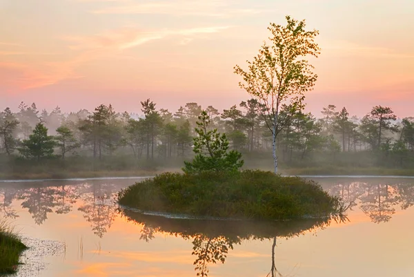 Natursköna landskapet i tidigt på morgonen — Stockfoto