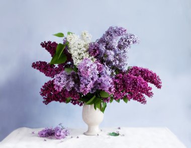 Still-life with a bunch of lilac clipart