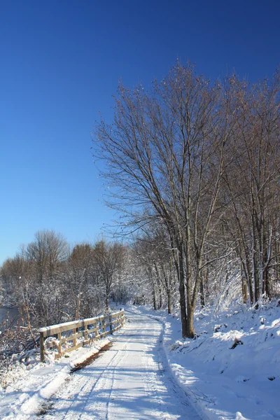 Neve no caminho da floresta — Fotografia de Stock