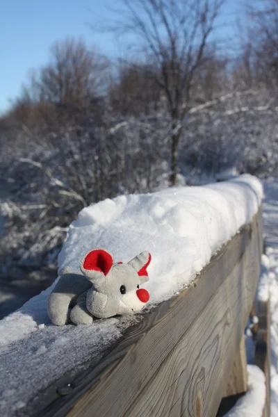 Christmas mouse — Stock Photo, Image