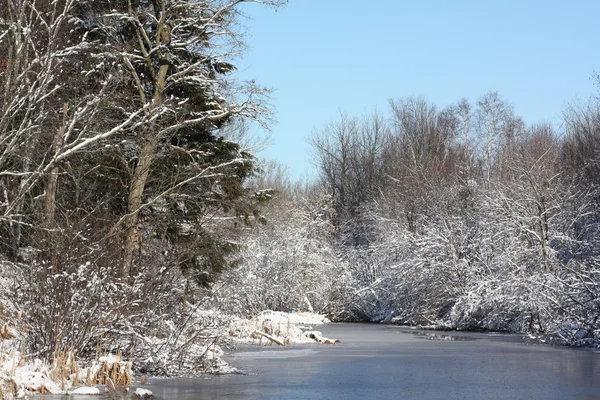 Eerste sneeuw langs de rivier — Stockfoto